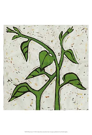 Framed Planta Green V Print