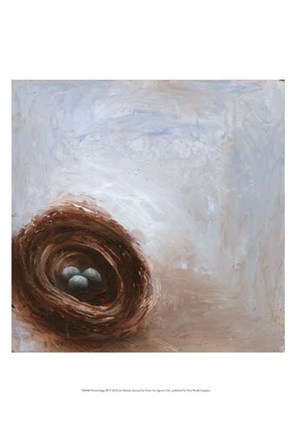 Framed Nested Eggs III Print