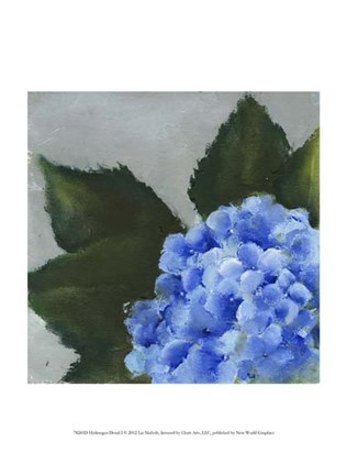 Framed Hydrangea Detail I Print