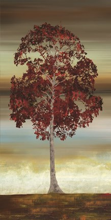 Framed Swept Away II Print