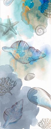 Framed Shell Reflections II Print