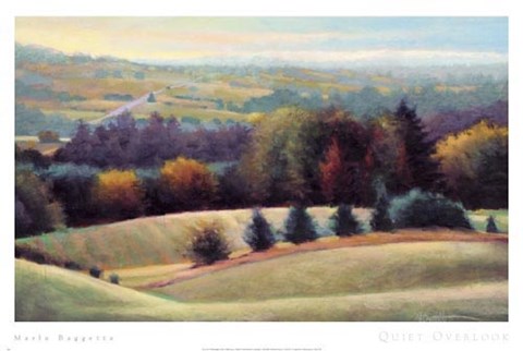 Framed Quiet Overlook Print