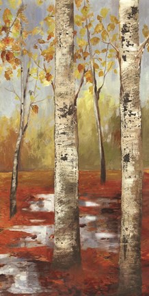 Framed Passage I Print