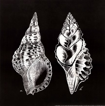 Framed Elegant Negative I - mini Print