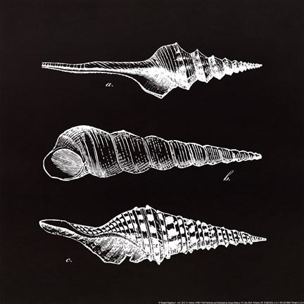 Framed Elegant Negative II - mini Print