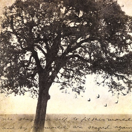 Framed Under the Trees I Print