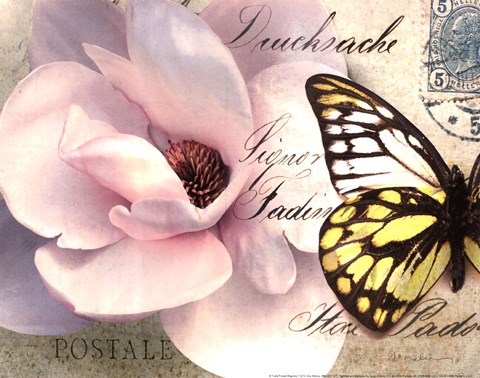 Framed Carte Postale Magnolia II Print
