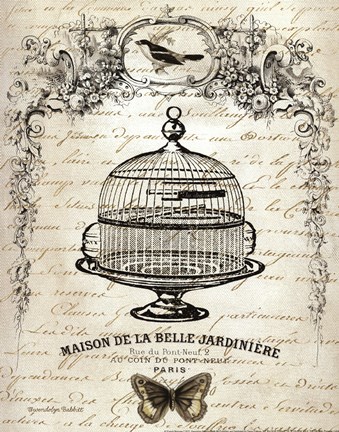 Framed French Birdcage I Print