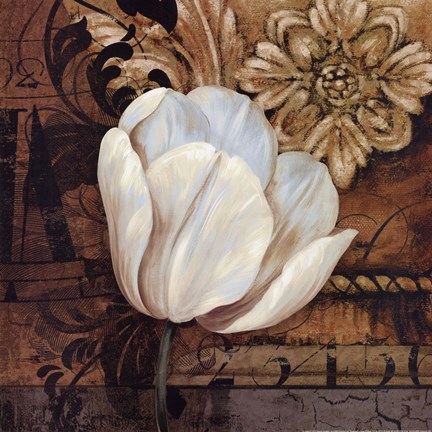 Framed Artifact II Print