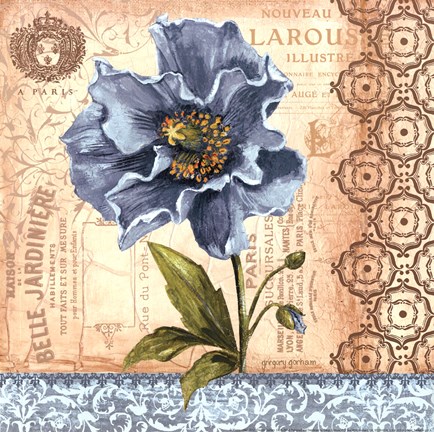 Framed Poppy - mini Print