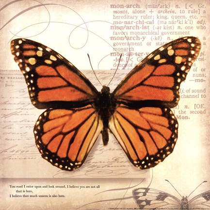 Framed Butterflies Script II - mini Print