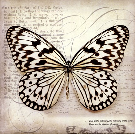 Framed Butterflies Script III - mini Print