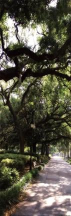 Framed Savannah Sidewalk Panel II - mini Print