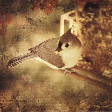 Framed Mouthful Print