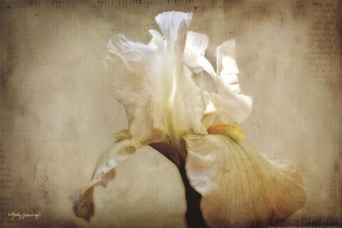 Framed Frequent Visitor Print