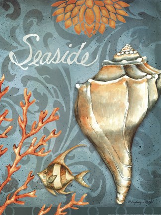 Framed Seaside Conch Print