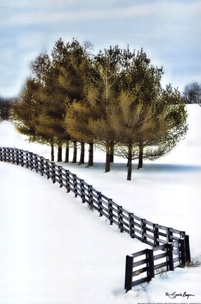 Framed Winter Beauty Print