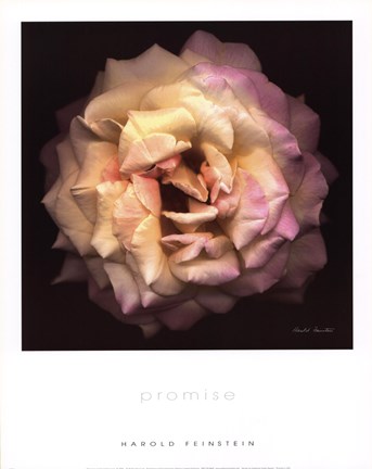 Framed Promise (small) Print