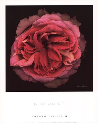 Framed Profusion Print