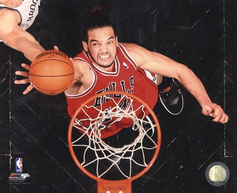 Framed Joakim Noah 2012-13 Playoff Action Print