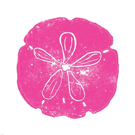 Framed Pink Sand Dollar Print