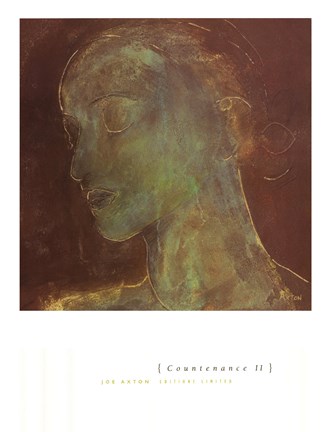 Framed Countenance II Print