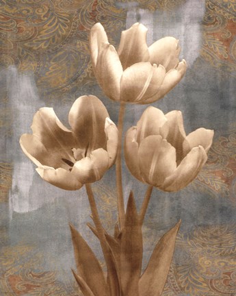 Framed Tulip II Print