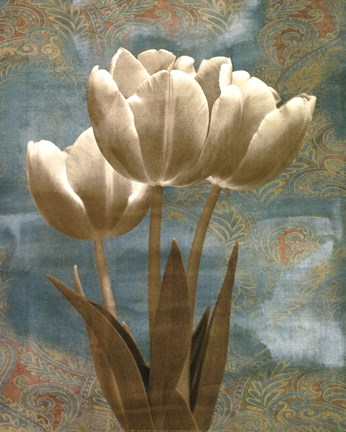 Framed Tulip I Print