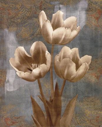 Framed Tulip II Print