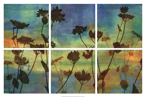 Framed Wild Flowers I Print