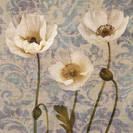 Framed Damask Blooms V Print