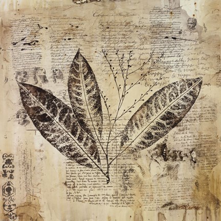 Framed Botanical Sketchbook I Print