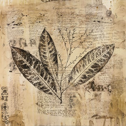 Framed Botanical Sketchbook I Print