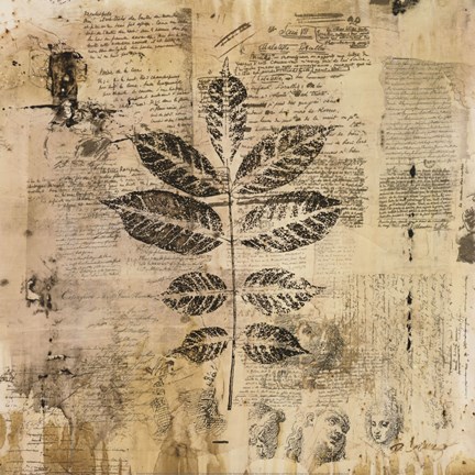 Framed Botanical Sketchbook II Print