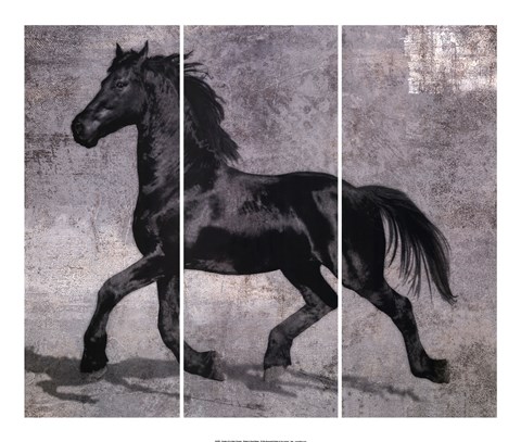 Framed Caballus III Print