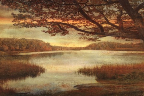Framed Landscape Lake Print