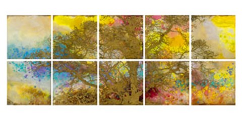 Framed Late Afternoon Trees Composition Print