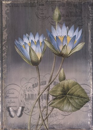 Framed Black Botanical I Print