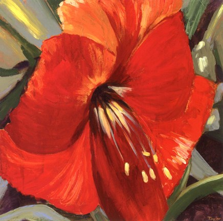 Framed Tiare III Print