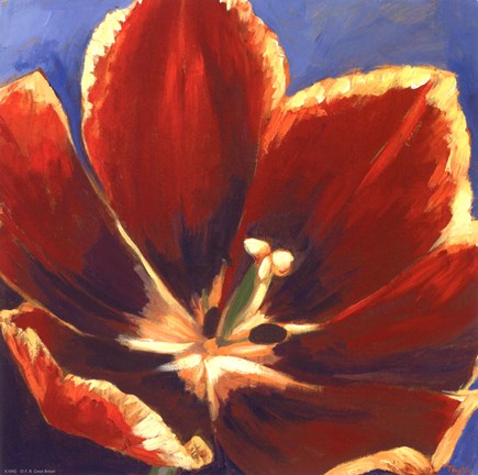 Framed Tiare IV Print