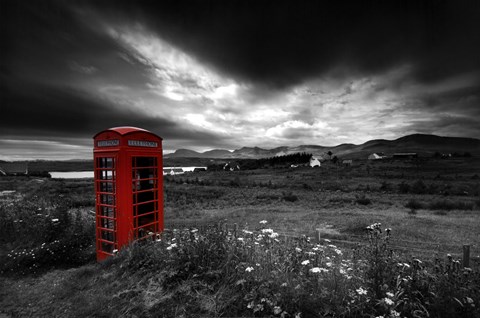 Framed Call Of The Wild Print