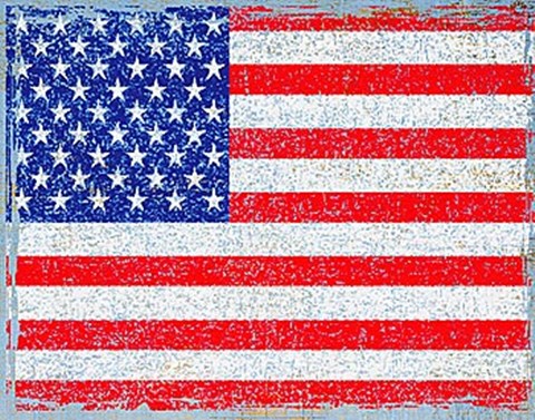 Framed Stars and Stripes Print