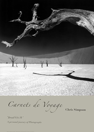 Framed Dead Vlei IV Print