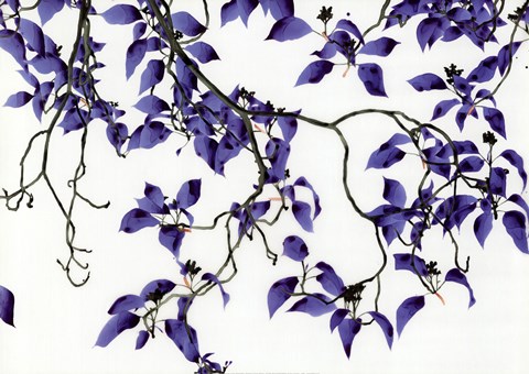 Framed Rapture Print