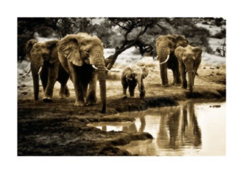 Framed Cool of the Evening Print