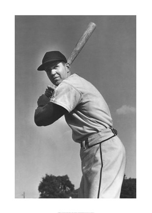 Framed On The Field II Print