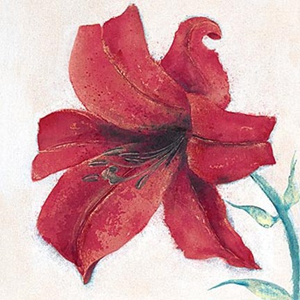 Framed Lily II Print