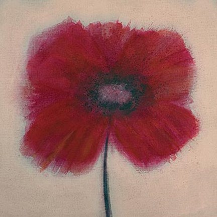 Framed Red Splash I Print