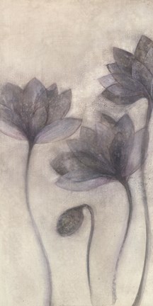 Framed Prussian Grace I Print