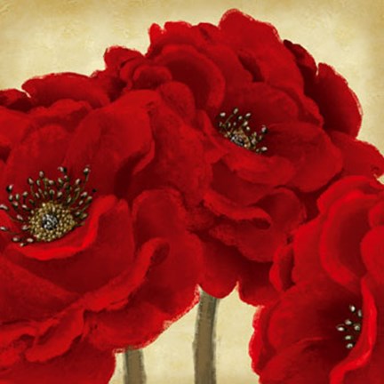 Framed Red Peony II Print